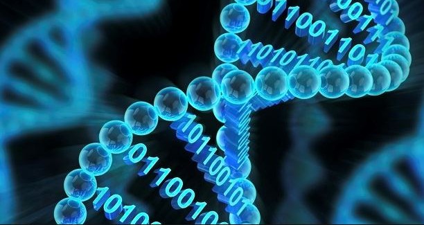 Microsoft, On Yıl İçerisinde Dijital Verilerimizi DNA’mızda Saklayabileceğimizi Açıkladı