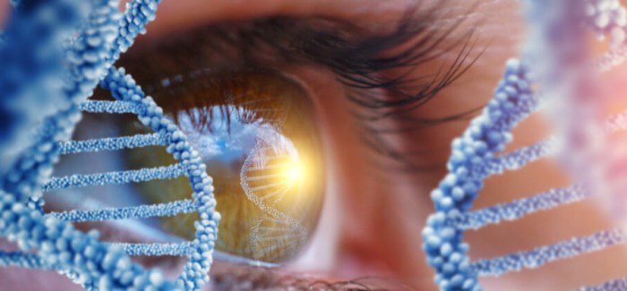 Yeni Bir Gen Terapisi, Yaşa Bağlı Görme Kaybına Virüs Kullanarak Çare Buldu