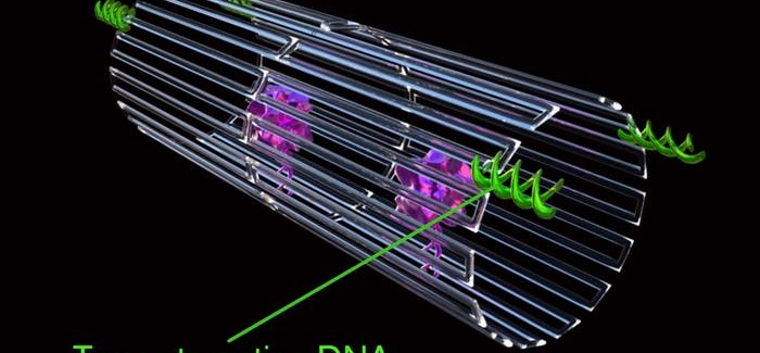 İlaç Taşıyan DNA Nanorobotlar Kanser Tedavisinde Kullanılacak