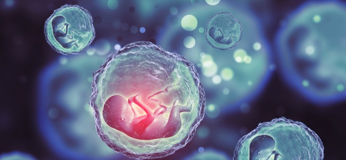Yapay Embriyolar, Hamilelikteki Riskleri Ortadan Kaldırabilir