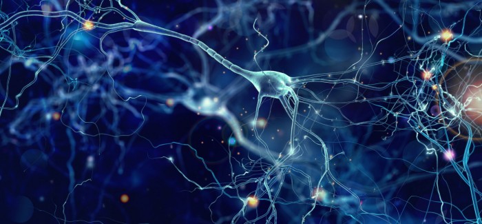 “Yapay Sinaptik Cihaz” İnsan Beyninin İşleyiş Şeklini Taklit Ediyor