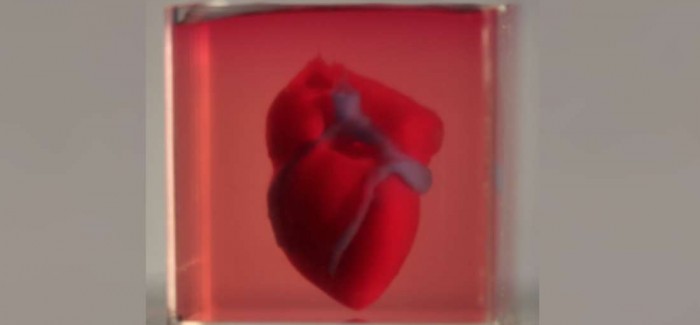 3D Yazıcı ile Üretilen Kalp, Kalp Hastalıklarına Son Verebilir!