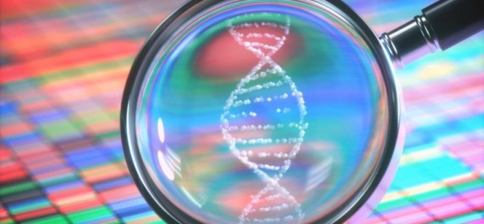 ODTÜ’lü Bilim İnsanları DNA’nın Müziğini Oluşturdu